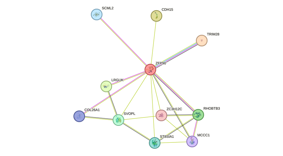 STRING protein interaction network