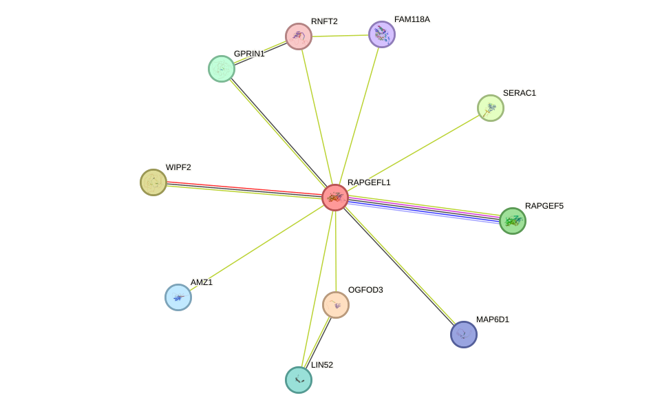 STRING protein interaction network