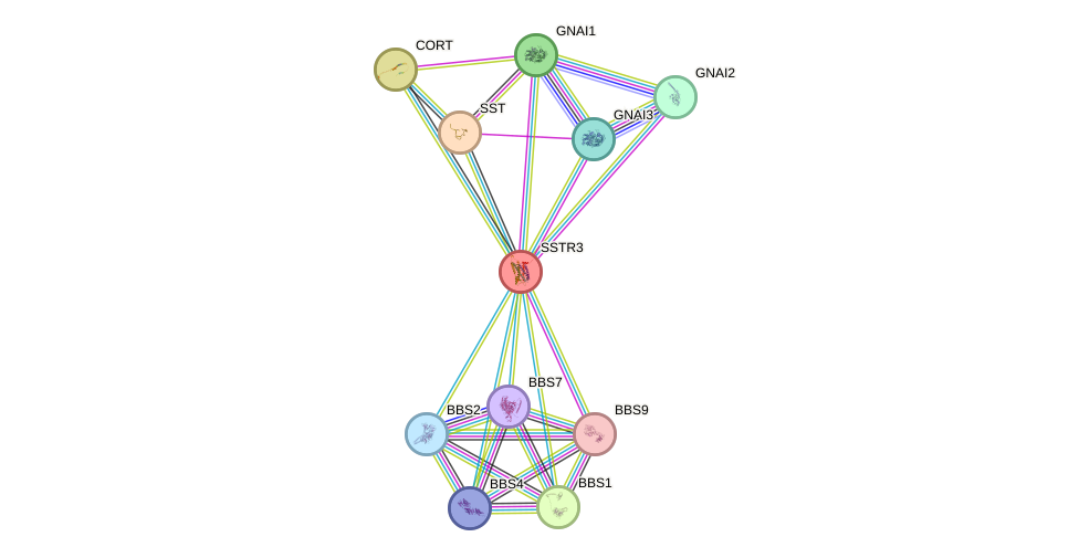 STRING protein interaction network