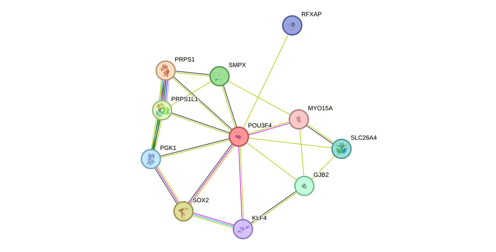 STRING protein interaction network