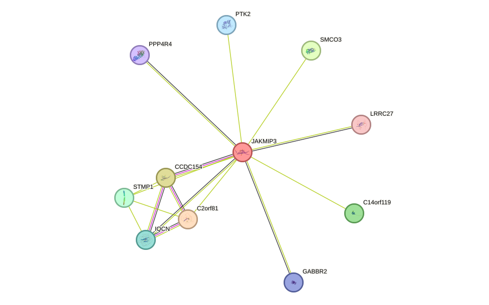 STRING protein interaction network