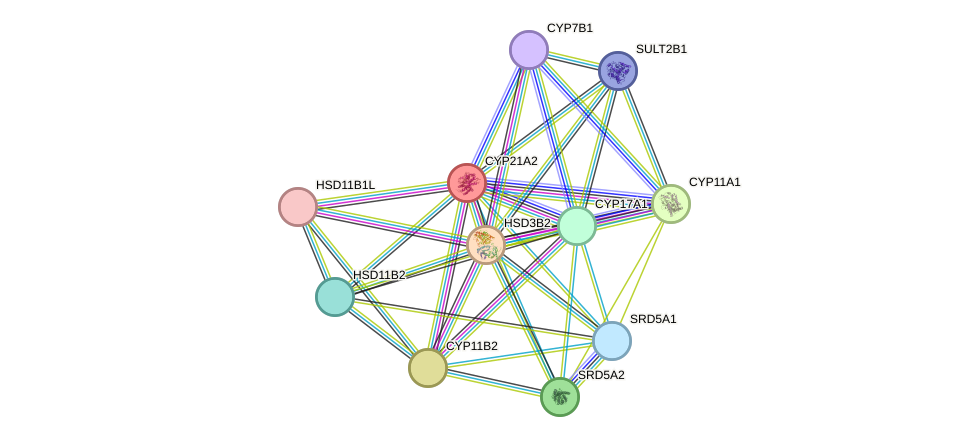 STRING protein interaction network