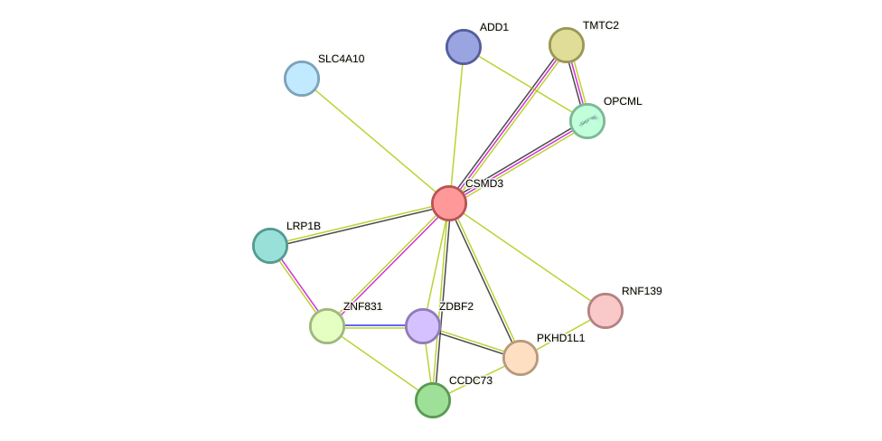 STRING protein interaction network