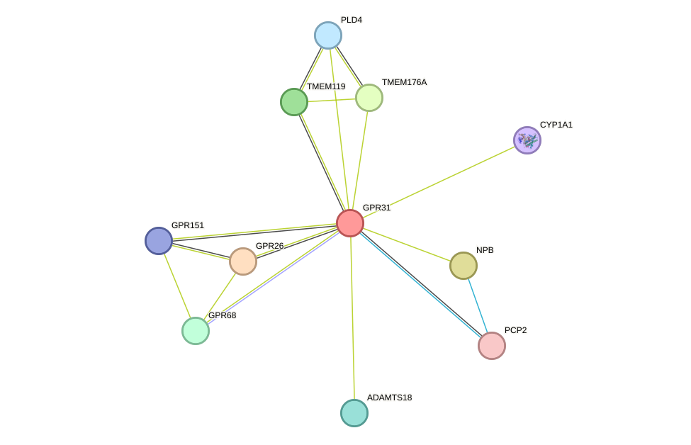 STRING protein interaction network