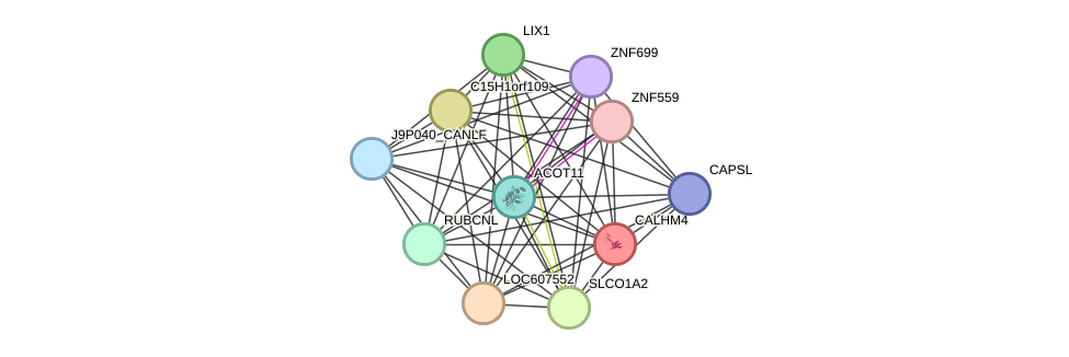 STRING protein interaction network