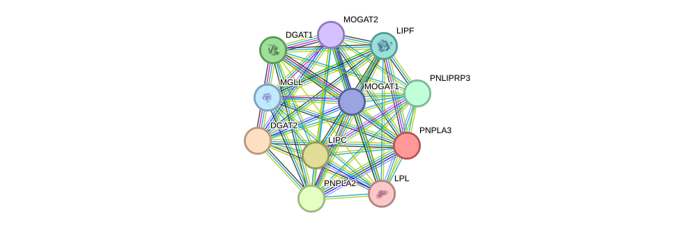 STRING protein interaction network