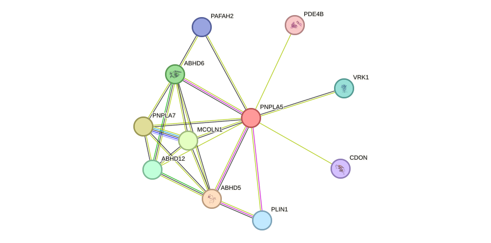 STRING protein interaction network