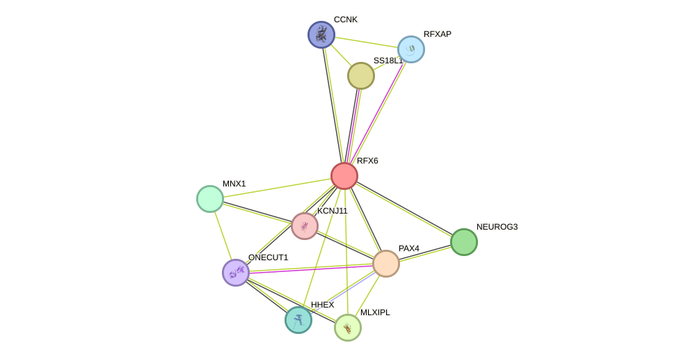 STRING protein interaction network