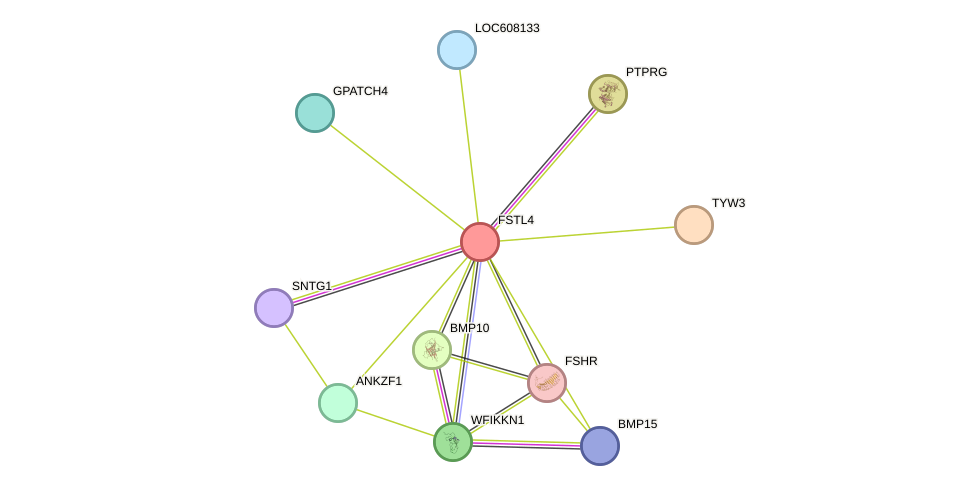 STRING protein interaction network