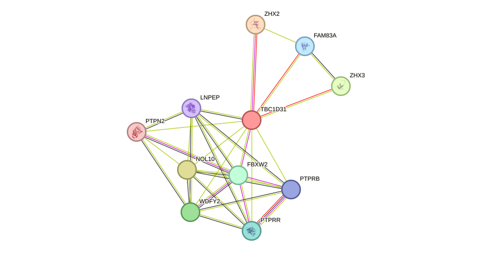 STRING protein interaction network