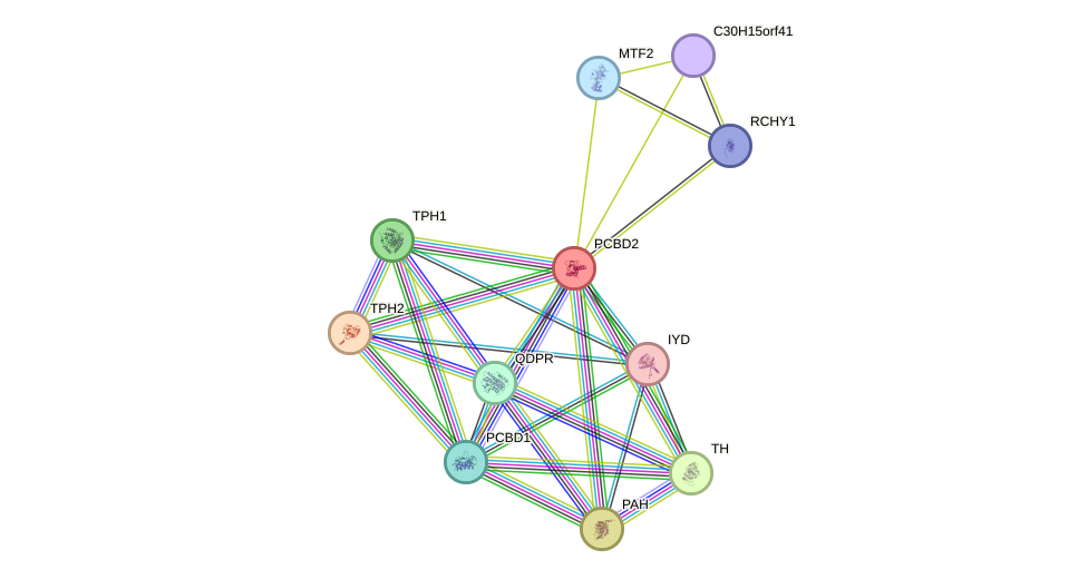 STRING protein interaction network