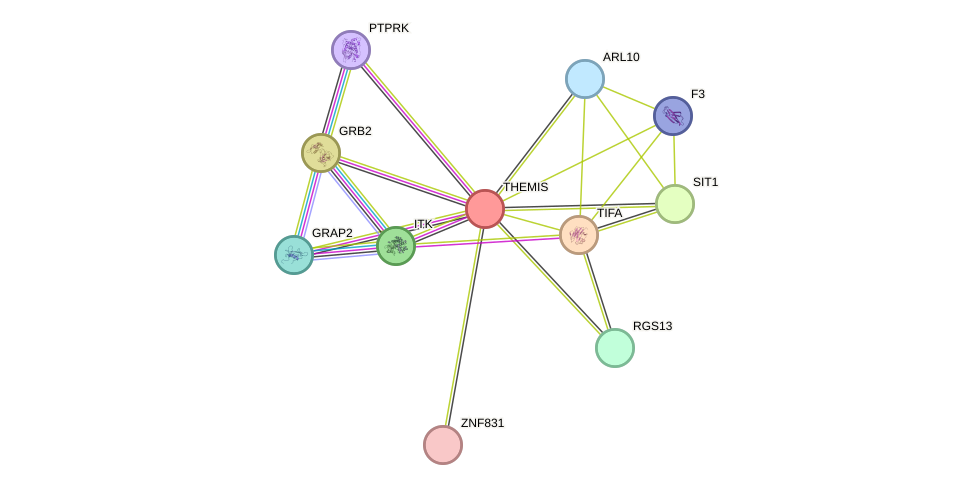 STRING protein interaction network
