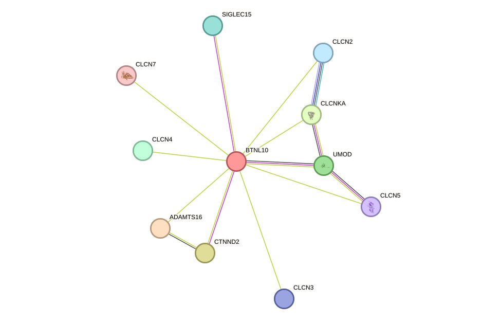 STRING protein interaction network