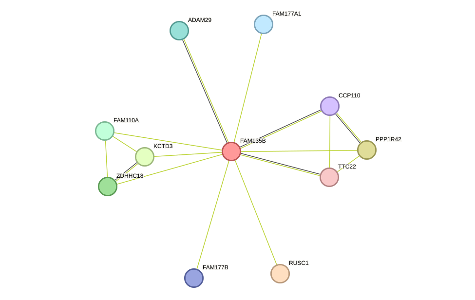 STRING protein interaction network