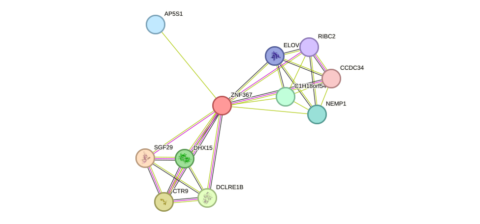 STRING protein interaction network