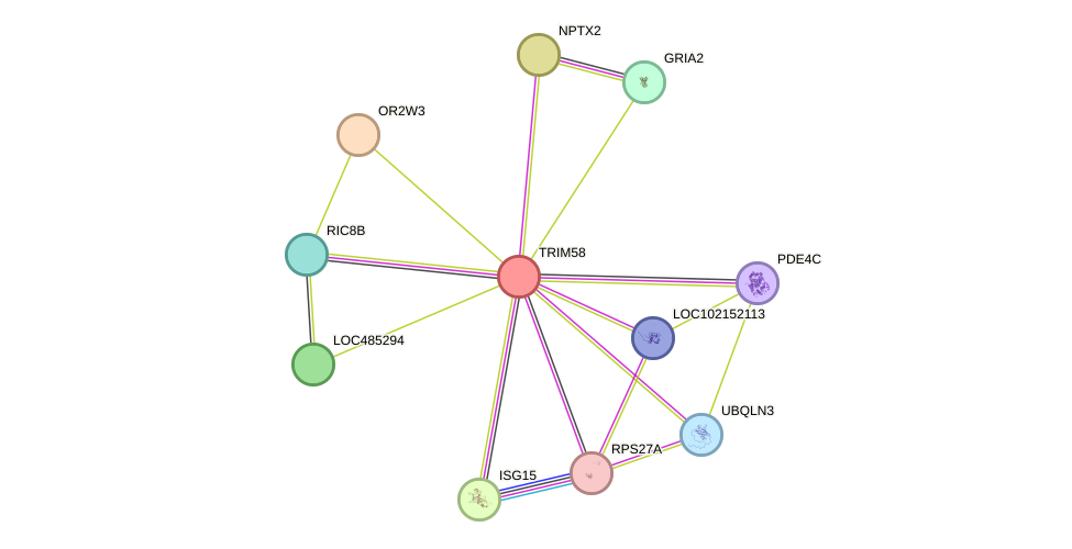 STRING protein interaction network