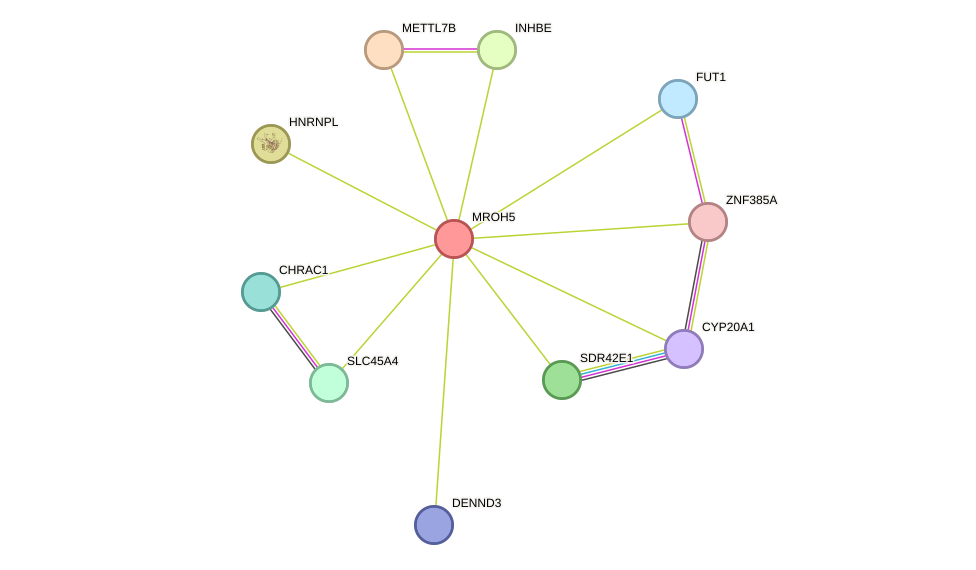 STRING protein interaction network
