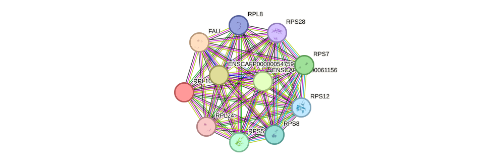 STRING protein interaction network