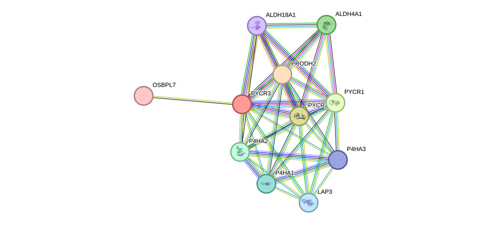 STRING protein interaction network