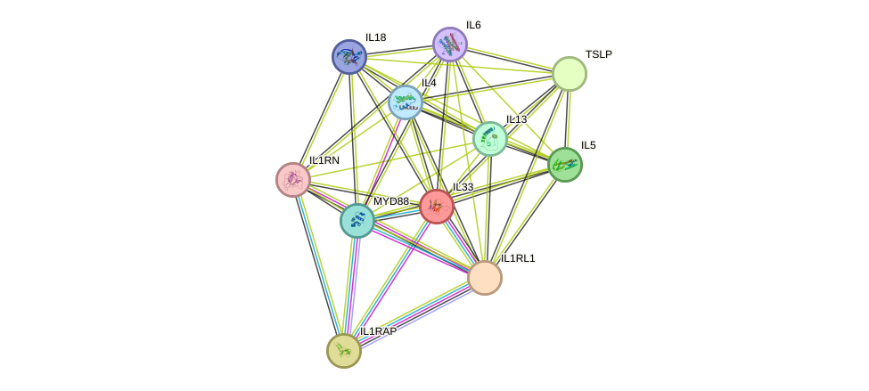 STRING protein interaction network