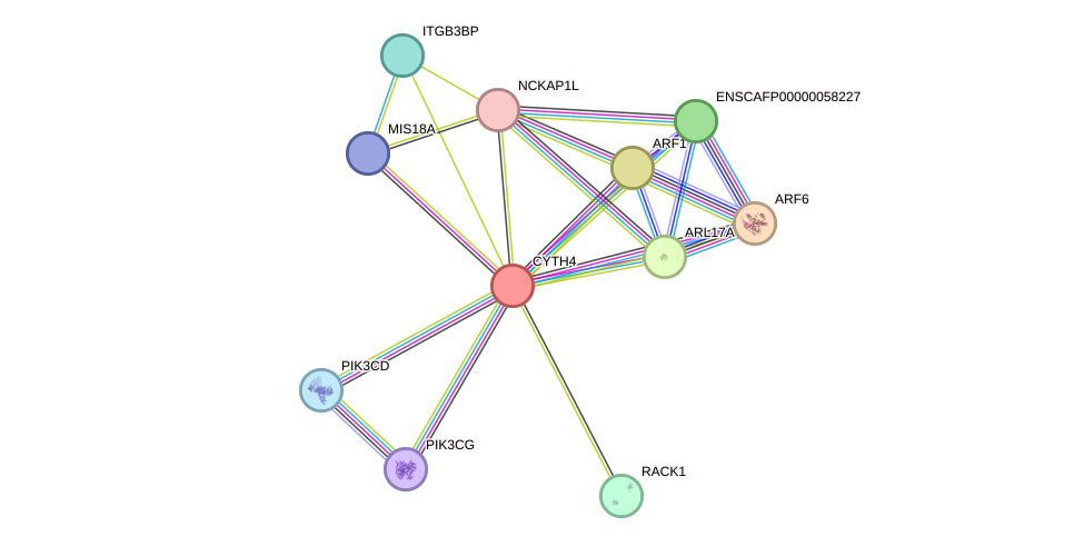 STRING protein interaction network