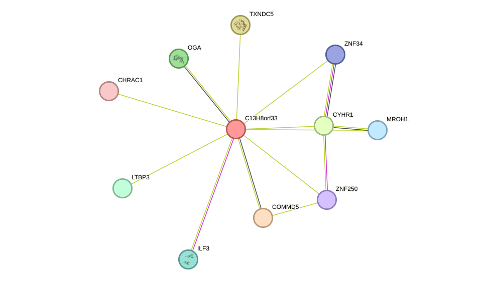 STRING protein interaction network