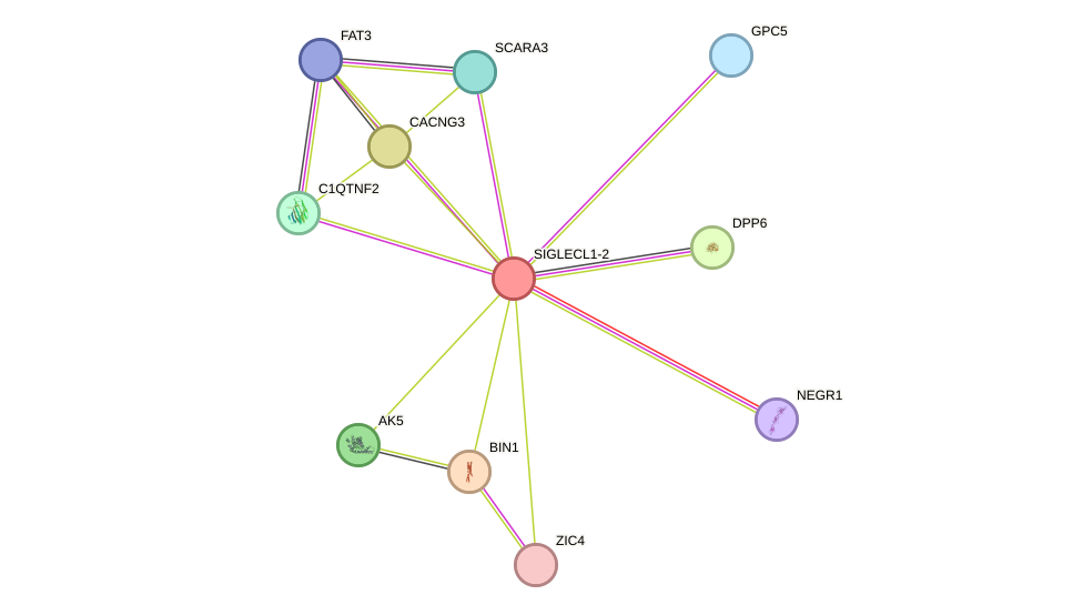 STRING protein interaction network