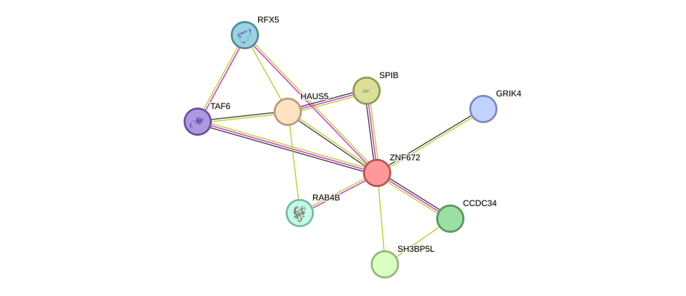 STRING protein interaction network