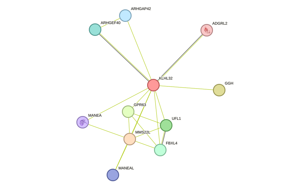 STRING protein interaction network