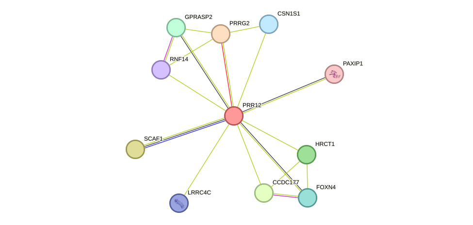 STRING protein interaction network