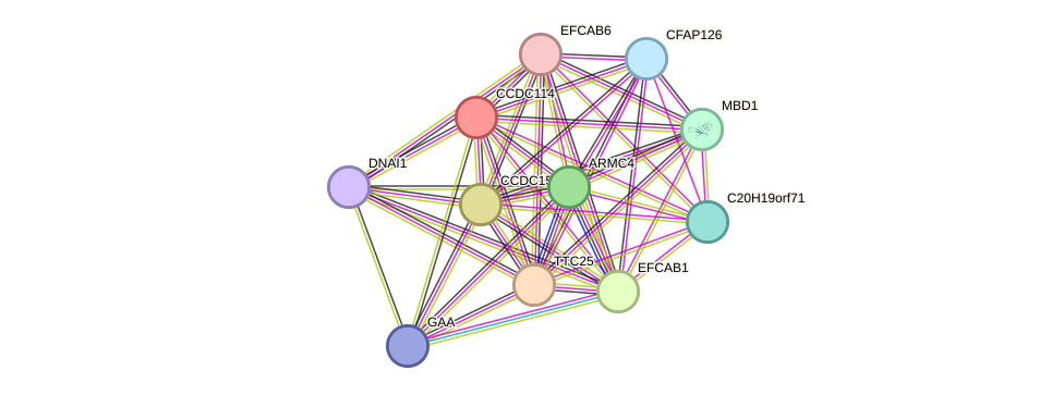 STRING protein interaction network