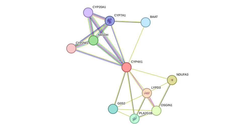 STRING protein interaction network