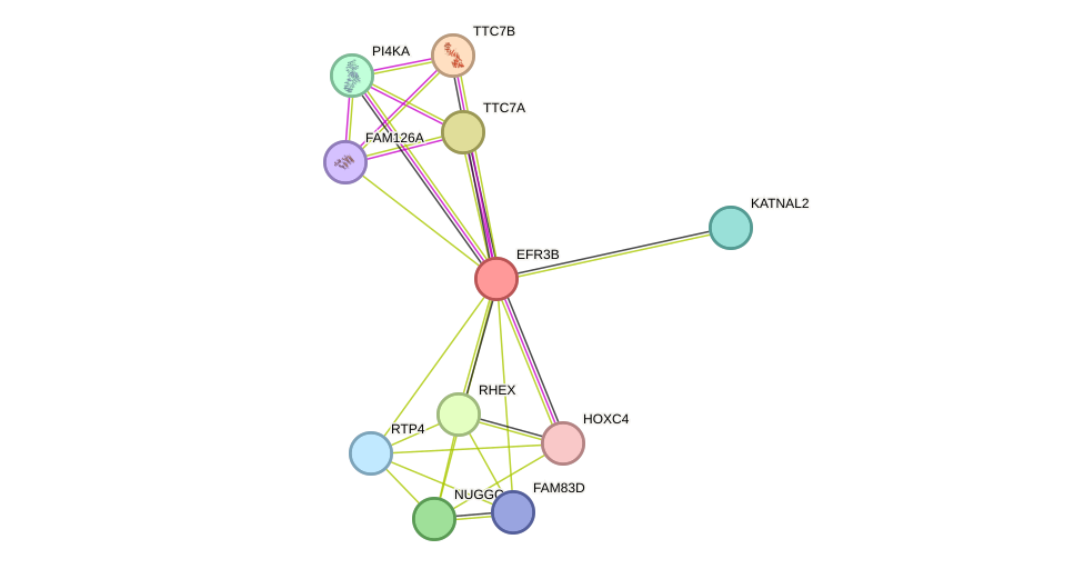 STRING protein interaction network