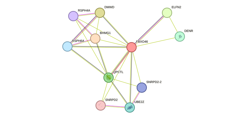 STRING protein interaction network