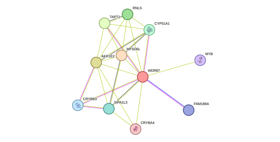 STRING protein interaction network