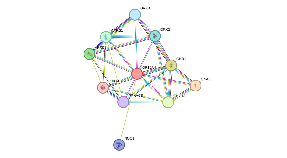 STRING protein interaction network