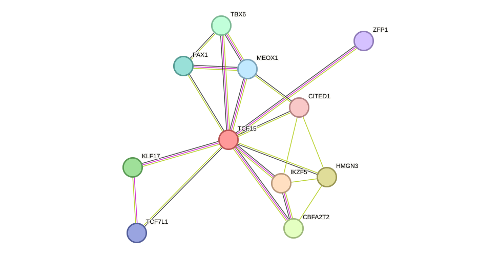 STRING protein interaction network