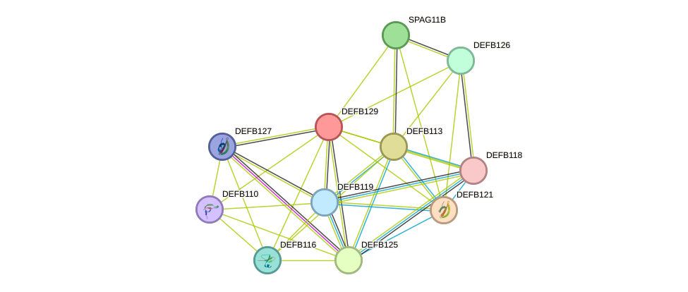 STRING protein interaction network