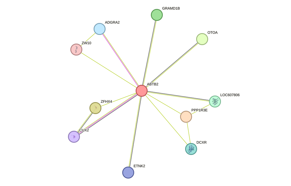 STRING protein interaction network