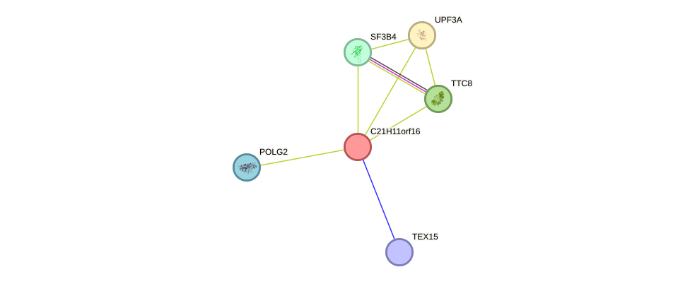 STRING protein interaction network