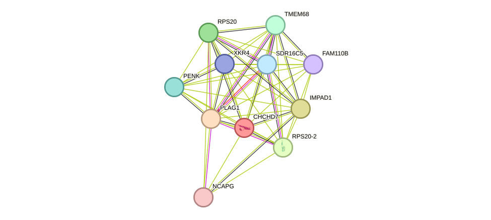 STRING protein interaction network