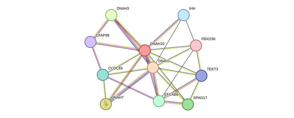 STRING protein interaction network