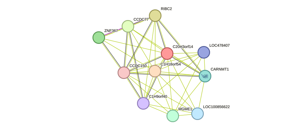 STRING protein interaction network