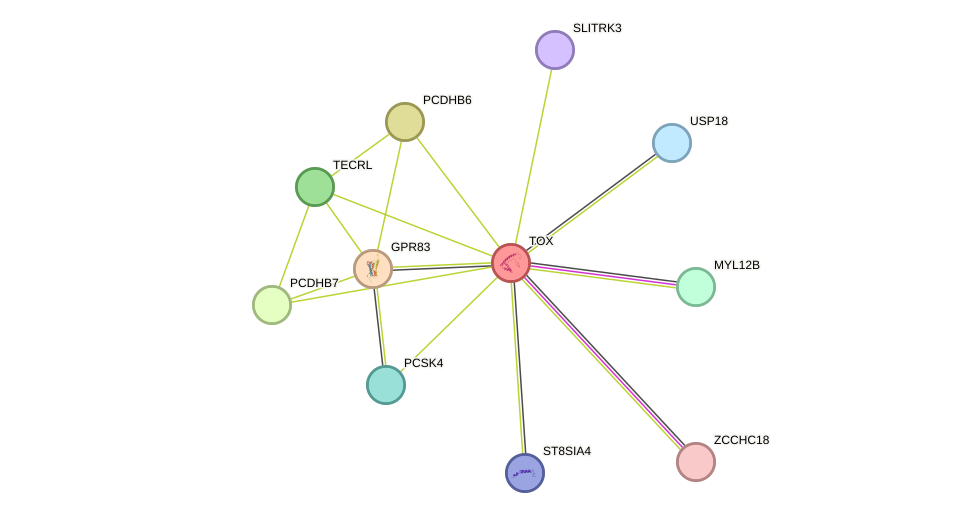 STRING protein interaction network