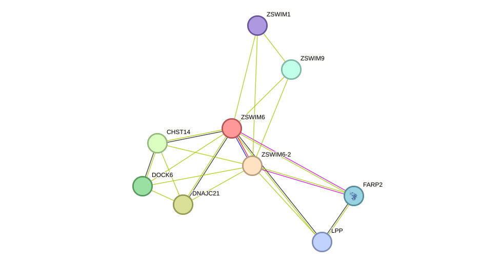 STRING protein interaction network