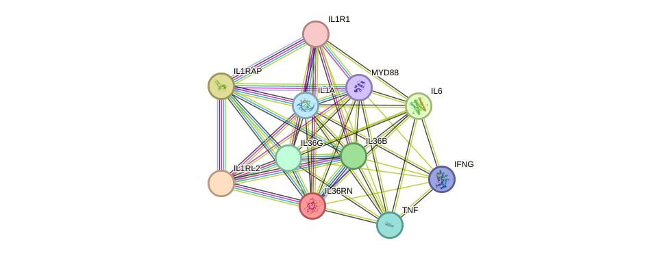 STRING protein interaction network
