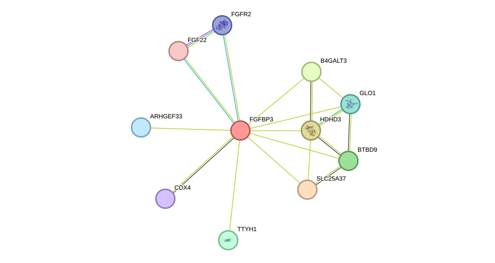 STRING protein interaction network