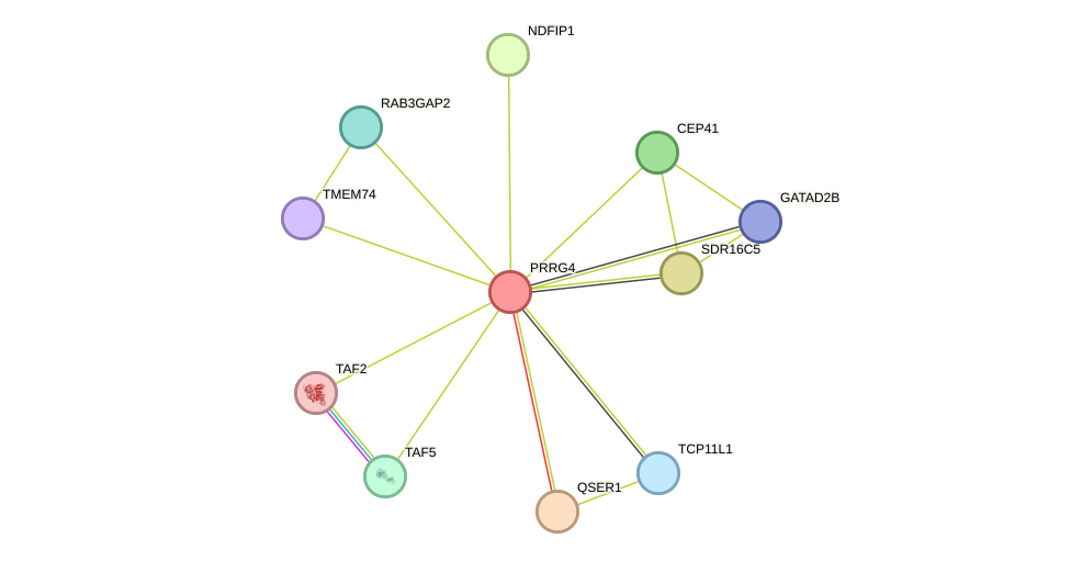 STRING protein interaction network