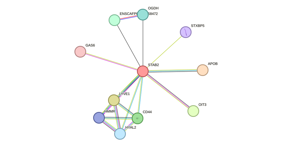 STRING protein interaction network