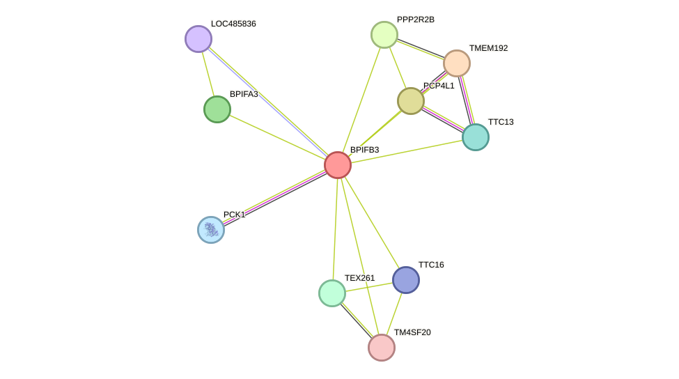 STRING protein interaction network